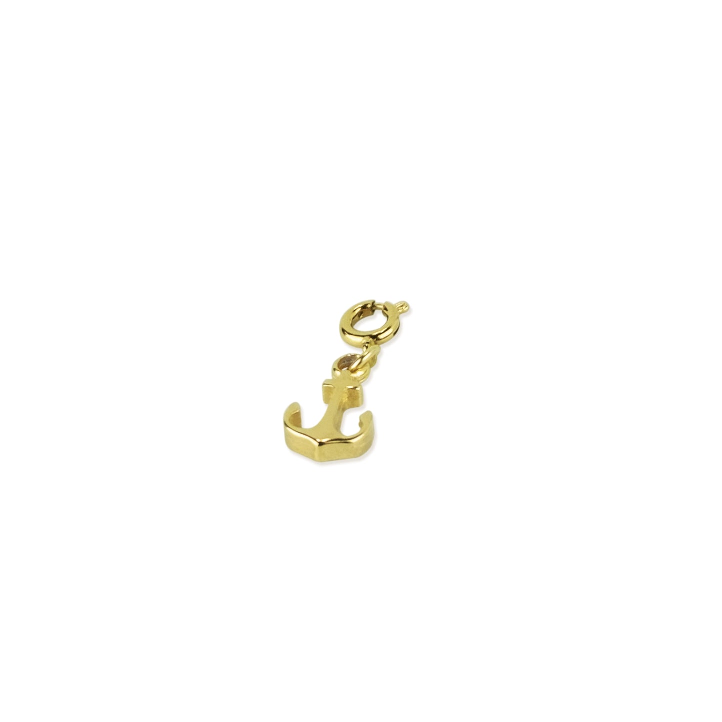 Vera Anchor Charm