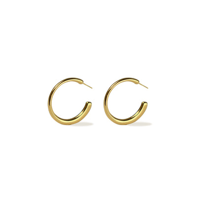 Aurora Charm Earrings