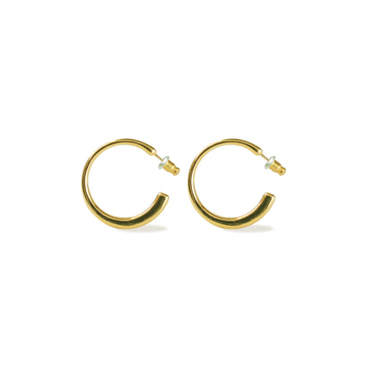 Aurora Charm Earrings